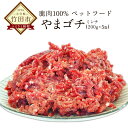 【ふるさと納税】鹿肉100%ペットフード 鹿生肉 ミンチ 1...