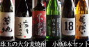 【ふるさと納税】大分の麦焼酎6本セット(小ビン)