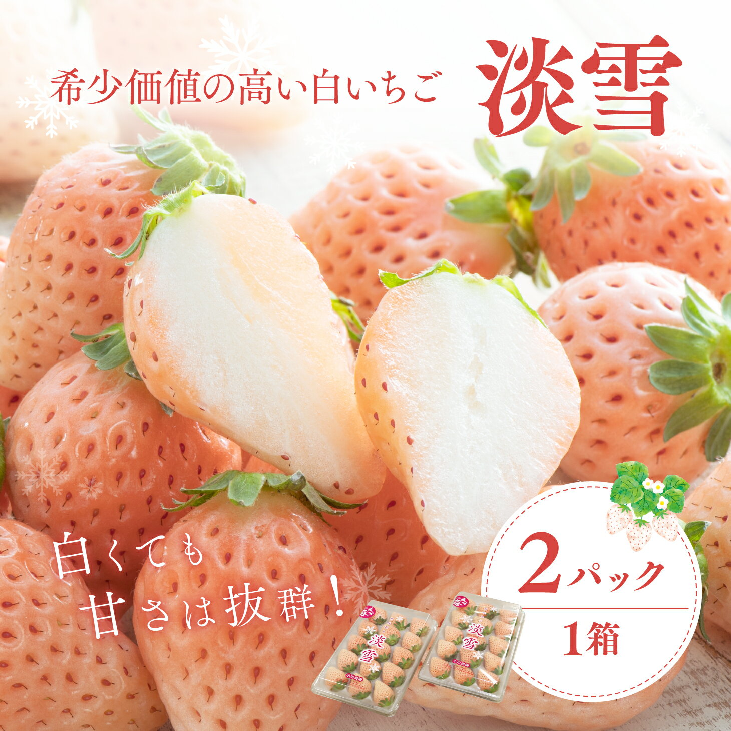 【ふるさと納税】先行予約 白いちご 淡雪 2パック入×1箱 イチゴ 苺 新品種