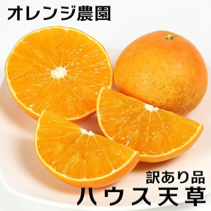 【ふるさと納税】【訳あり・規格外品】九州のオレンジ「ハウス天草」約3〜3.3kg 先行予約 果物 フルーツ 傷 規格外 不揃い＜37-A0043＞