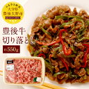【ふるさと納税】豊後牛切落とし(小間切れ) 約550g 九州...