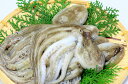 【ふるさと納税】漁師直送!天然なま蛸/冷凍1.2kg