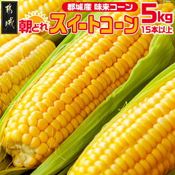 【<strong>ふるさと納税</strong>】朝どれ！！都城産スイートコーン(味来コーン)5kg 15本以上 - 朝どれ直送の<strong>とうもろこし</strong> スイートコーン 5キロ 約15本以上 産地直送 送料無料 AA-B401-6【宮崎県都城市は令和4年度<strong>ふるさと納税</strong>日本一！】