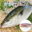 【ふるさと納税】【新海屋】【2021年1月発送開始】C015 ブリ(刺身加工済み) 1尾 約2kg~2.2kg 刺身 焼き魚 宮崎県延岡市 送料無料