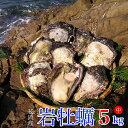 【ふるさと納税】延岡産天然岩牡蠣(生食用)5kg(中)(20...