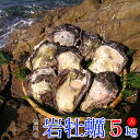 【ふるさと納税】延岡産天然岩牡蠣(生食用)5kg(大)(20...