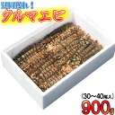 【ふるさと納税】延岡どれクルマエビ(2019年10月から発送...