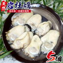 【ふるさと納税】延岡産天然岩牡蠣(冷凍剥き身生食用)(202...