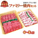 【ふるさと納税】延岡育ちの宮崎牛・宮崎ブランドポーク焼肉 フ...