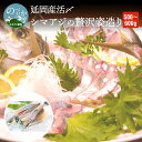 【ふるさと納税】シマアジ 延岡産活〆 贅沢 姿造り 1尾 500g ~ 600g 頭 中骨 尾付き 活〆 新鮮 真空パック 高級魚 延岡産シマアジ お造り 刺身 魚 鮮魚 魚介類 海鮮 お取り寄せ お取り寄せグルメ 請関水産 宮崎県 延岡市 チルド冷蔵 送料無料
