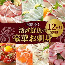 【ふるさと納税】活〆鮮魚 豪華 お刺身 定期便 12ヶ月 <strong>柵</strong> 国産 お楽しみ 刺身 新鮮 ヒラメ 真鯛 カンパチ シマアジ ブリ 漬け丼 マグロ <strong>サーモン</strong> メヒカリ はまち 活〆 湯引き 旬 鮮魚 海鮮 魚介類 冷蔵 九州 宮崎県 延岡市 請関水産 日向灘 お取り寄せ グルメ 送料無料