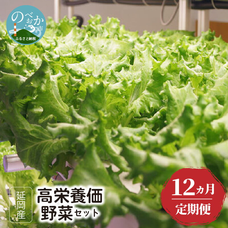 【ふるさと納税】延岡産 高栄養価野菜 セット <strong>12</strong>回 <strong>定期</strong>便