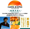 【ふるさと納税】秦 基博 ライブチケット 日南市合併10周年記念“HATA EXPO”in 飫肥城下町&宮崎県日南市産「旬の柑橘」3~4kg