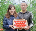【ふるさと納税】こだわりの高糖度トマト(厳選)