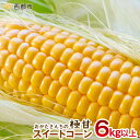 【ふるさと納税】緒方さんちの スイートコーン イエロー『先行...