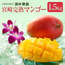 【ふるさと納税】「ご家庭用・訳あり」酒井農園 西都産 宮崎完...
