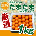 【ふるさと納税】宮崎県産 完熟きんかん たまたま エクセレン...