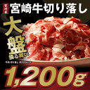 【ふるさと納税】大盤振る舞い 高級ブランド宮崎牛切り落し約1...