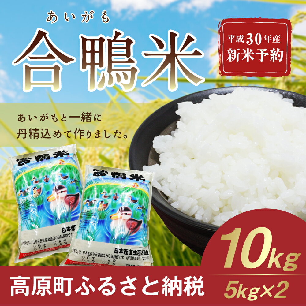 【ふるさと納税】宮崎県産 平成30年産　10月以降発送　新米 合鴨米 10kg 送料無料