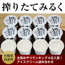 【ふるさと納税】 高原アイスクリーム研究所「搾りた