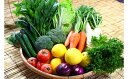 【ふるさと納税】綾町旬野菜ギフト(全6回)【偶数月発送】