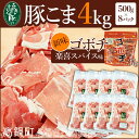 【ふるさと納税】<山豚豚こま4kg・ゴボチ(楽喜スパイス1袋...