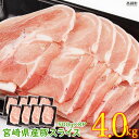 【ふるさと納税】<宮崎県産豚スライス4.0kg>※2020年...