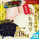 【ふるさと納税】<28年宮崎産ヒノヒカリ(無洗米真空パック)...