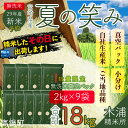 【ふるさと納税】<29年産新米 宮崎県産夏の笑み 無洗米真空...