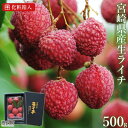 【ふるさと納税】予約受付<宮崎県産 生ライチ 500g>※2...