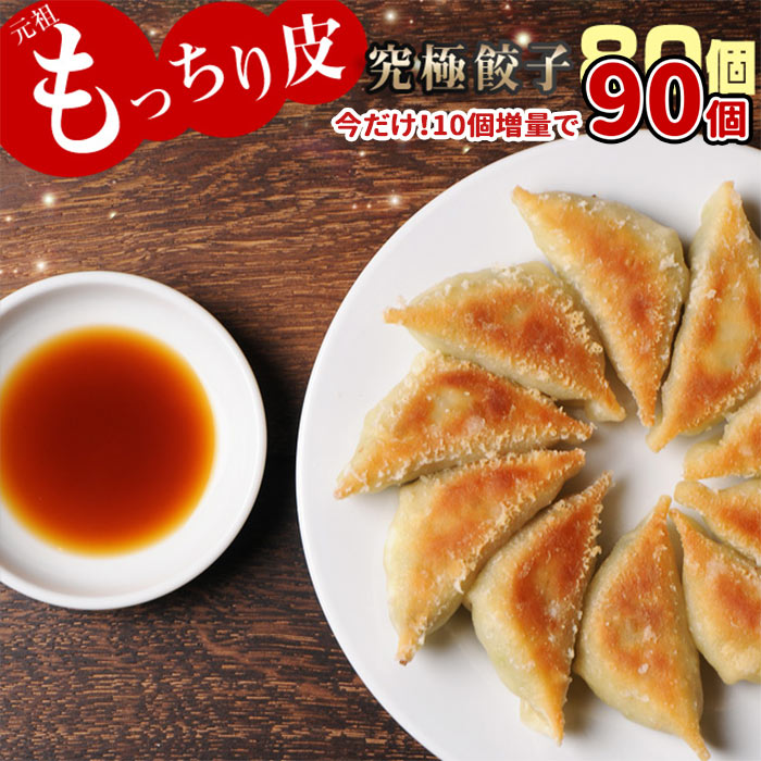 【ふるさと納税】今だけ増量！餃子の馬渡＜馬渡のもっちり餃子80個＋10個増量＞ ※2019年4月末迄に順次出荷します。 ぎょうざ ギョウザ 牛肉 豚肉 特産品 餃子の馬渡 宮崎県 高鍋町【冷凍】