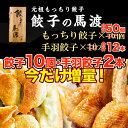 【ふるさと納税】今だけ増量!餃子の馬渡<馬渡のもっちり餃子4...