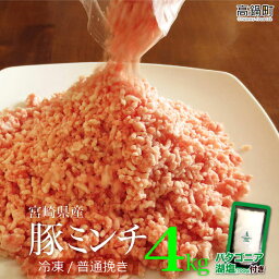 【ふるさと納税】＜宮崎産豚ミンチ4kg＋塩＞※3か月以内に順次出荷します！ 500g×8 豚肉 4,000g ひき肉 挽き肉 挽肉 バラ凍結 ジップ袋 チャック付き袋 <strong>パタゴニア</strong>湖塩 特産品 宮崎県 高鍋町 【冷凍】