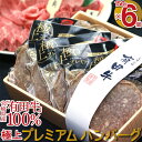 【ふるさと納税】<九州 宮崎 有田牛 牛乃屋謹製ハンバーグ1...