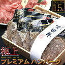 【ふるさと納税】<九州 宮崎 有田牛 牛乃屋謹製ハンバーグ1...