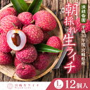 【ふるさと納税】清緑香園の摘みたて 生ライチ Lサイズ 12個入 平成30年度産 宮崎県産 数量限定 化粧箱 国産 ライチ 果物 フルーツ 冷蔵 送料無料