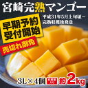 【ふるさと納税】みやざき完熟マンゴー 大玉3Lサイズ 4個(...