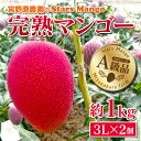 【ふるさと納税】【期間限定】【予約商品】みやざき完熟マンゴー...