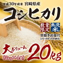 【ふるさと納税】【期間限定増量】<宮崎県産 平成30年産 早...