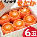 【ふるさと納税】宮崎県産 柑橘の女王せとか 6玉入り 平成3...