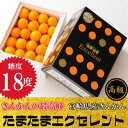 【ふるさと納税】南国 宮崎県産 たまたまエクセレント 1kg...