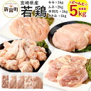 【ふるさと納税】宮崎県産 若鶏セット 合計5kg 鶏肉 鳥肉...