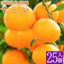 【ふるさと納税】<予約受付>宮崎県産 柑橘の女王せとか 25...