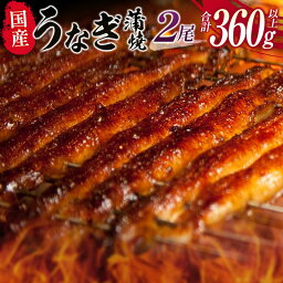 【ふるさと納税】国産うなぎ蒲焼<strong>2尾</strong>（無頭）計360g以上 新富町産鰻 ウナギ 支援 <strong>鰻楽</strong> 送料無料