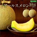 【ふるさと納税】 宮崎県産プレミアムアールスメロン<4Lサイ...