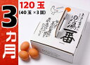 ã€ãµã‚‹ã•ã¨ç´ç¨Žã€‘å…æ¹¯é¤Šé¶è‡ªæ…¢ã®åµ 計120個 (40個×3回) 3ヶ月定期便 冷蔵 逿–™ç„¡æ–™ ãŸã¾ã” 国産