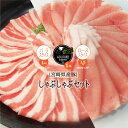 【ふるさと納税】宮崎県産 豚 しゃぶしゃぶ 2.5kg 粉ス...