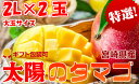 【ふるさと納税】最上級 完熟マンゴー 宮...