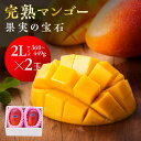 【ふるさと納税】果実の宝石マンゴー2L2玉※2020年初夏〜...