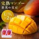【ふるさと納税】果実の宝石マンゴーL×2玉※2020年初夏〜...